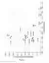 Fig. 03 - MODULATION OF THIXOTROPIC PROPERTIES OF CEMENTITIOUS MATERIALS