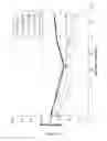Fig. 19 - MODULATION OF THIXOTROPIC PROPERTIES OF CEMENTITIOUS MATERIALS