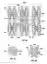 Fig. 04 - A MELT CONDITIONER