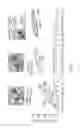 Fig. 02 - System for digital fabrication of graded, hierarchical material structures