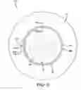 Fig. 03 - Filter for a pneumatic tire