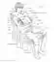 Fig. 01 - Arm support apparatus