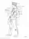 Fig. 10 - Arm support apparatus