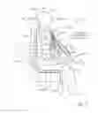 Fig. 12 - Arm support apparatus