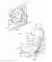 Fig. 02 - Manual lumbar pump assembly