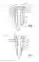 Fig. 04 - Clip for fastening a panel on a support, method for implementing same, and motor vehicle equipment