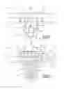 Fig. 09 - Clip for fastening a panel on a support, method for implementing same, and motor vehicle equipment