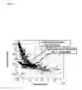 Fig. 07 - System and method for controlling hybrid vehicle