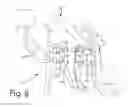 Fig. 08 - Fender mirror mount