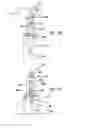 Fig. 11 - Vehicular body assembly locking apparatus and method