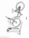 Fig. 02 - Cycle management system with locking mechanism