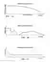 Fig. 02 - Rotorcraft rotor blade assembly
