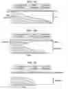 Fig. 04 - Rotorcraft rotor blade assembly