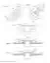 Fig. 22 - Delaminatable container