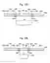 Fig. 09 - Foldable Lid