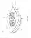 Fig. 02 - Multi-chambered lid apparatus