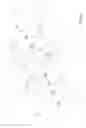 Fig. 10 - Container for delivering a prefixed number of products at a time and a process for making of said container
