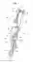 Fig. 05 - Sheet processing apparatus and image forming apparatus