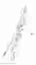 Fig. 02 - WINCH PULLER