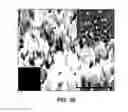 Fig. 43 - Synthesis and processing of novel phase of carbon (Q-carbon)