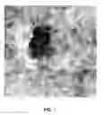 Fig. 02 - Nanoparticle modification and perforation of graphene
