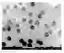 Fig. 06 - Nanoparticle modification and perforation of graphene