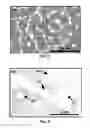 Fig. 07 - Synthesis and processing of pure and NV nanodiamonds and other nanostructures