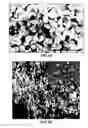 Fig. 45 - Synthesis and processing of pure and NV nanodiamonds and other nanostructures