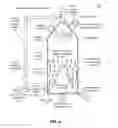 Fig. 05 - Ozonized biochar compositions and methods of making and using the same