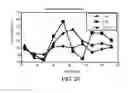 Fig. 25 - CRYSTALLINE FORMS OF 4-[2-(4-METHYLPHENYLSULFANYL)-PHENYL] PIPERIDINE