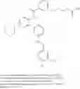 Fig. 223 - COMPOUNDS AND METHODS FOR INHIBITING PHOSPHATE TRANSPORT