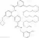 Fig. 375 - COMPOUNDS AND METHODS FOR INHIBITING PHOSPHATE TRANSPORT