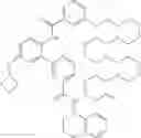 Fig. 378 - COMPOUNDS AND METHODS FOR INHIBITING PHOSPHATE TRANSPORT
