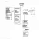 Fig. 04 - Process for treating homoserine-based compound