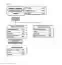 Fig. 15 - Process for treating homoserine-based compound
