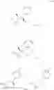 Fig. 1104 - Triazole agonists of the APJ receptor