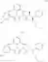 Fig. 874 - Triazole agonists of the APJ receptor