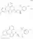 Fig. 962 - Triazole agonists of the APJ receptor