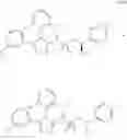 Fig. 976 - Triazole agonists of the APJ receptor