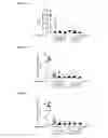Fig. 02 - Compound useful to treat mycoses