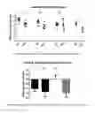 Fig. 03 - Berberine salts, ursodeoxycholic salts and combinations, methods of preparation and application thereof