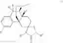 Fig. 07 - 10-substituted morphinan hydantoins