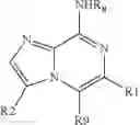 Fig. 20 - Heteroaromatic compounds and their use as dopamine D1 ligands