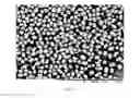 Fig. 04 - Method for preparing spherical Clopidogrel Hydrogen Sulfate polymorph I