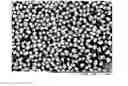 Fig. 07 - Method for preparing spherical Clopidogrel Hydrogen Sulfate polymorph I