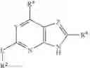 Fig. 04 - Gyrase inhibitors