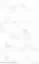 Fig. 1091 - Gyrase inhibitors