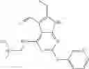 Fig. 162 - Gyrase inhibitors