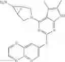 Fig. 173 - Gyrase inhibitors