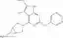 Fig. 182 - Gyrase inhibitors